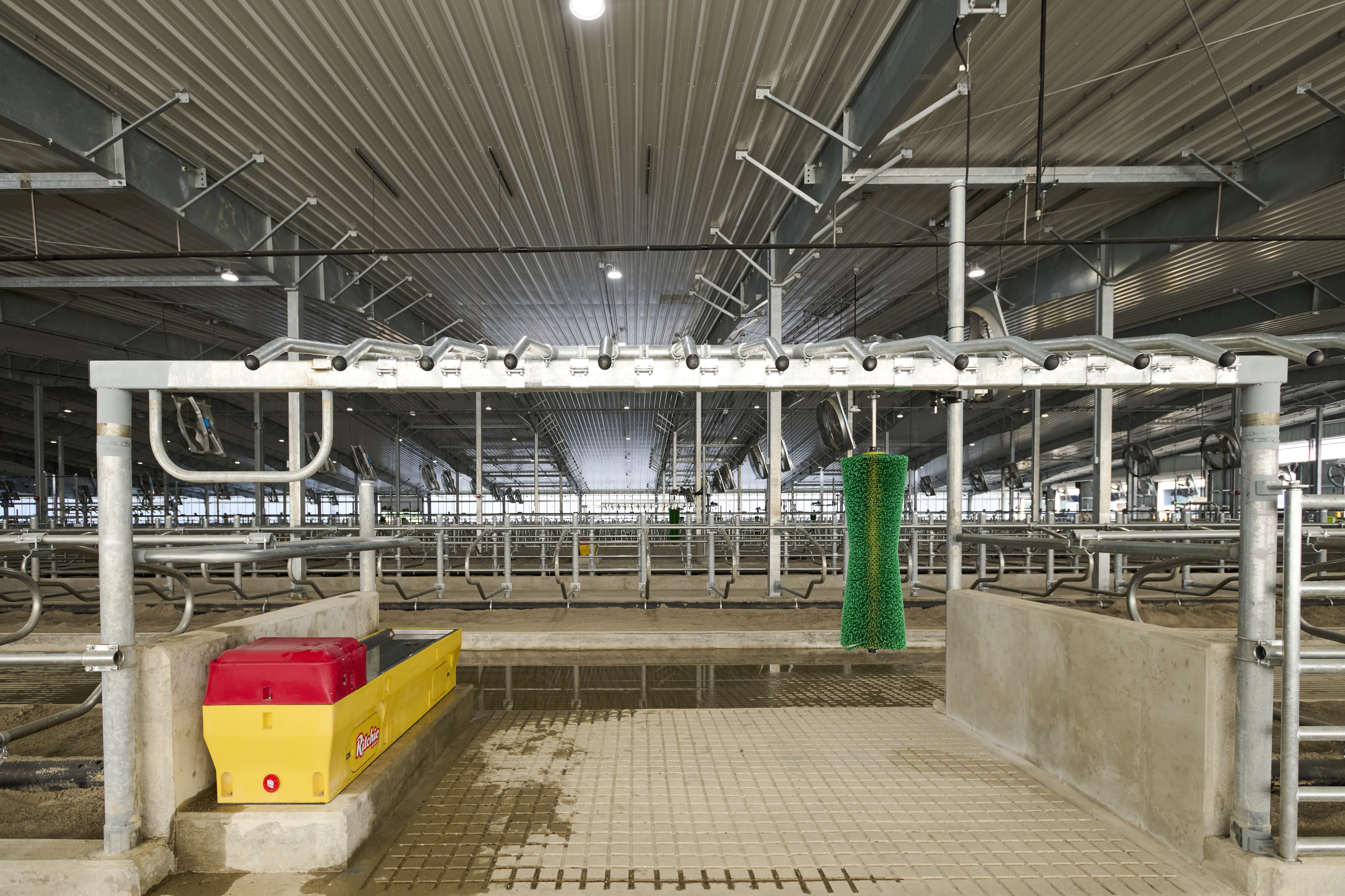 Dairy Photo Embed 2.jpg